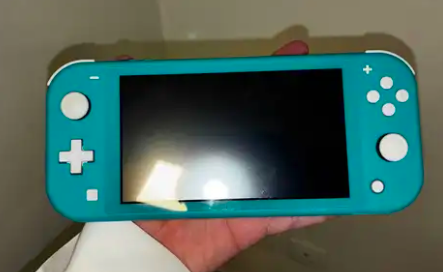 نينتيندو سويتش لايت