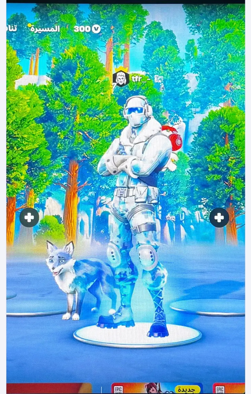 حساب فورت نايت فيه 178 سكن ضمان للابد
