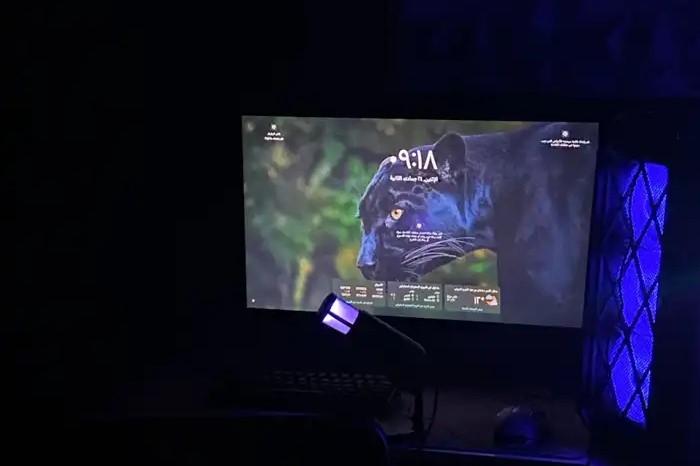 شاشه LG قيمنق